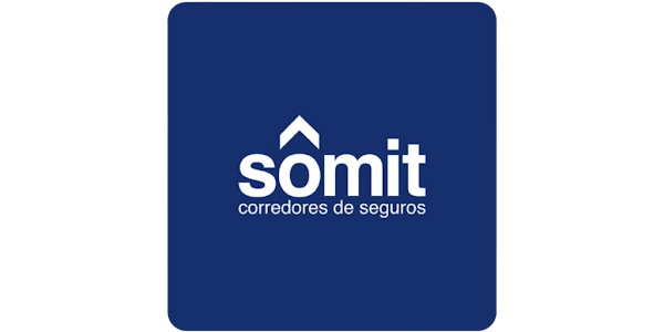Somit